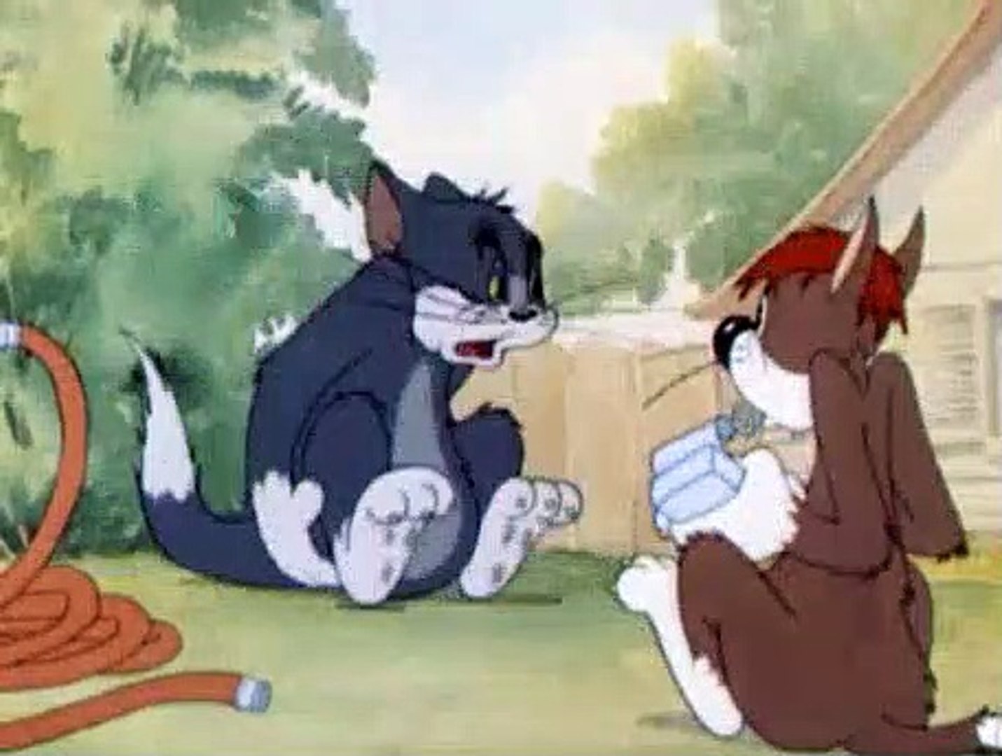 Tom and Jerry The Classic Collection Season 1 Episode 9 - Sufferin' Cats! -  video Dailymotion