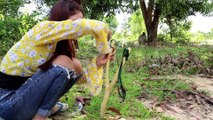 The First Bird Trap Technology Using Slingshots Make By Creative Girl