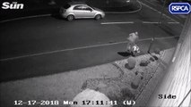 La vidéo émouvante d'un chien abandonné en pleine route qui tente de rentrer dans la voiture de son maitre