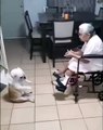 Regardez comment cette grand-mère et son chien passent leur temps ensemble