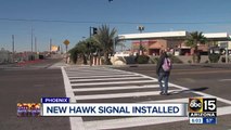 New HAWK signal installed at dangerous Phoenix intersection