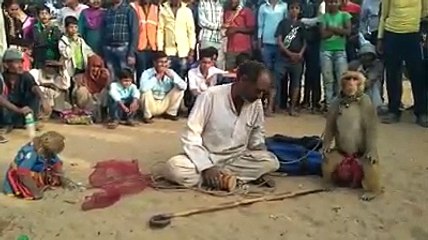 Public are enjoying to see show of Madari with monkeys