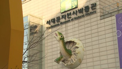 박물관서 화재진압용 약품 누출...13명 이송 / YTN