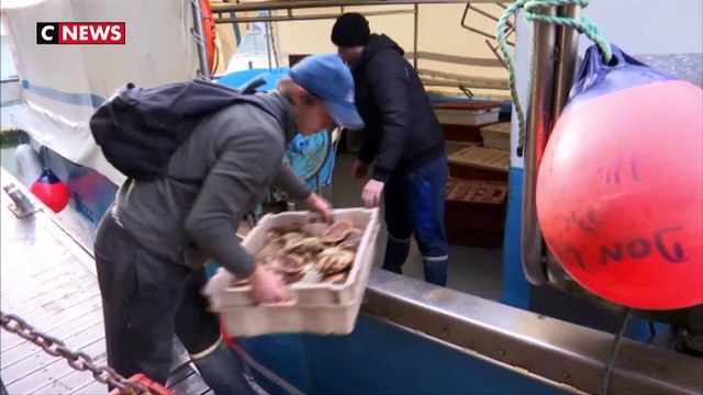 Migrants : multiplication des traversées de la Manche