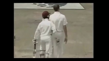 Deadly Bouncers hitting Batsmen and then batsmen's perfect reply