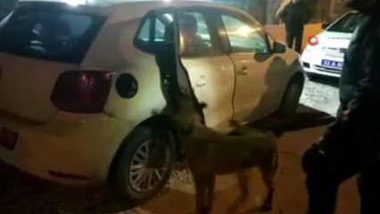 Isparta’da esrardan 20 kat daha tehlikeli 1 kilo 620 gram skunk ele geçirildi