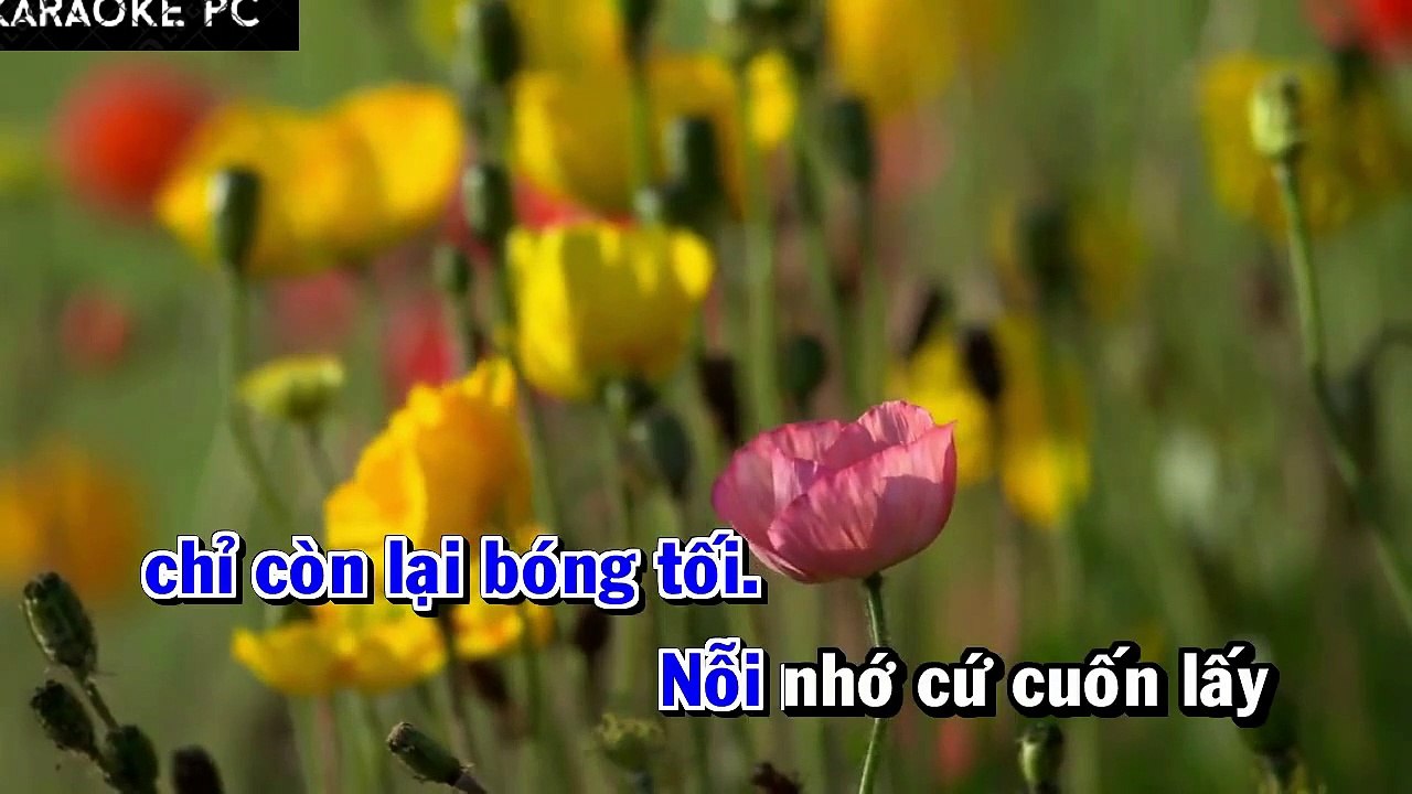 Karaoke Em Đi Anh Phải Làm Sao - Long Hải