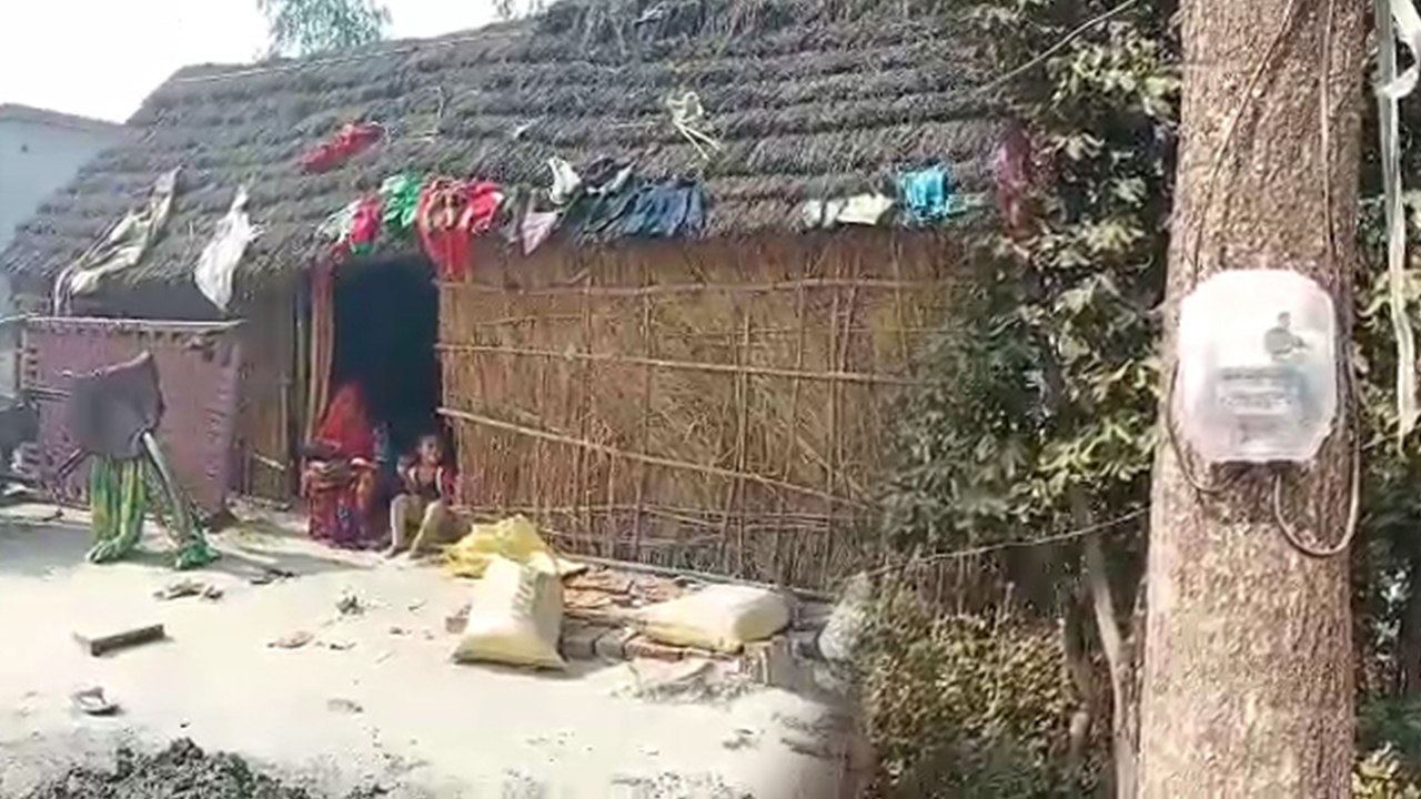 झोपड़ी में दिया कनेक्शन, मीटर पेड़ पर लटकाया, य...