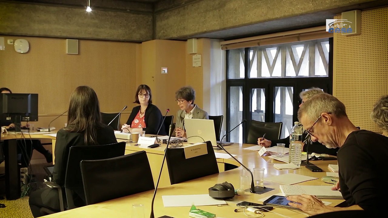 Questions à Danielle GAUDRY (gynécologue-obstétricienne) - droits sexuels et reproductifs - cese