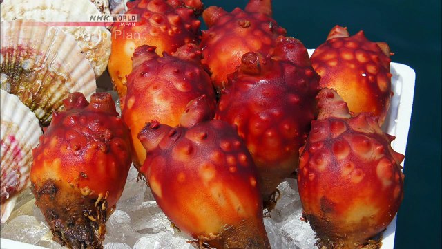 J-Trip: Winter Delicacies of the Northeastern Seas & Hiking a Steep Mountain between Osaka and Nara