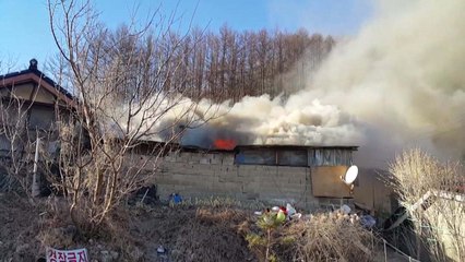 불길 속 뛰어들어 지적장애인 구한 경찰 / YTN