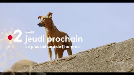 Ba 1 Le Plus Bel Ami De L Homme 3 01 2019 Video Dailymotion