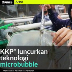 #1MENIT | Ternak Udang di Perkotaan