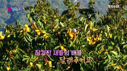 4남매 쇼 - 시즌2- 할아버지의 선물_#002