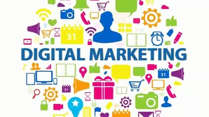Best Digital Marketing Training Institute In Noida