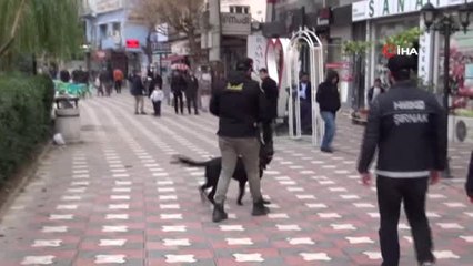 Şırnak'ta 120 Polisle Uyuşturucu Denetimi