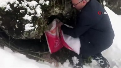 Yabani hayvanlar için doğaya yem bırakılıyor