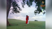 Hum Tumhare-Video song | Raam Laxman | Saanch Ko Aanch Nahin | Usha Mangeshkar | Shailender Singh