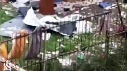 Pescara spaccia,  il Comune dorme