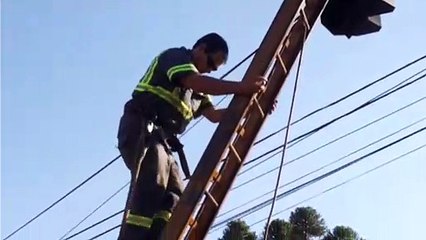 Cettrans realiza manutenção em semáforos