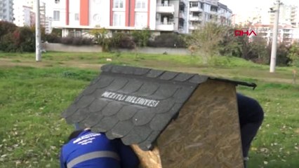 Mersin Bileklik Örüp Sokak Hayvanlarına Yuva Yaptılar