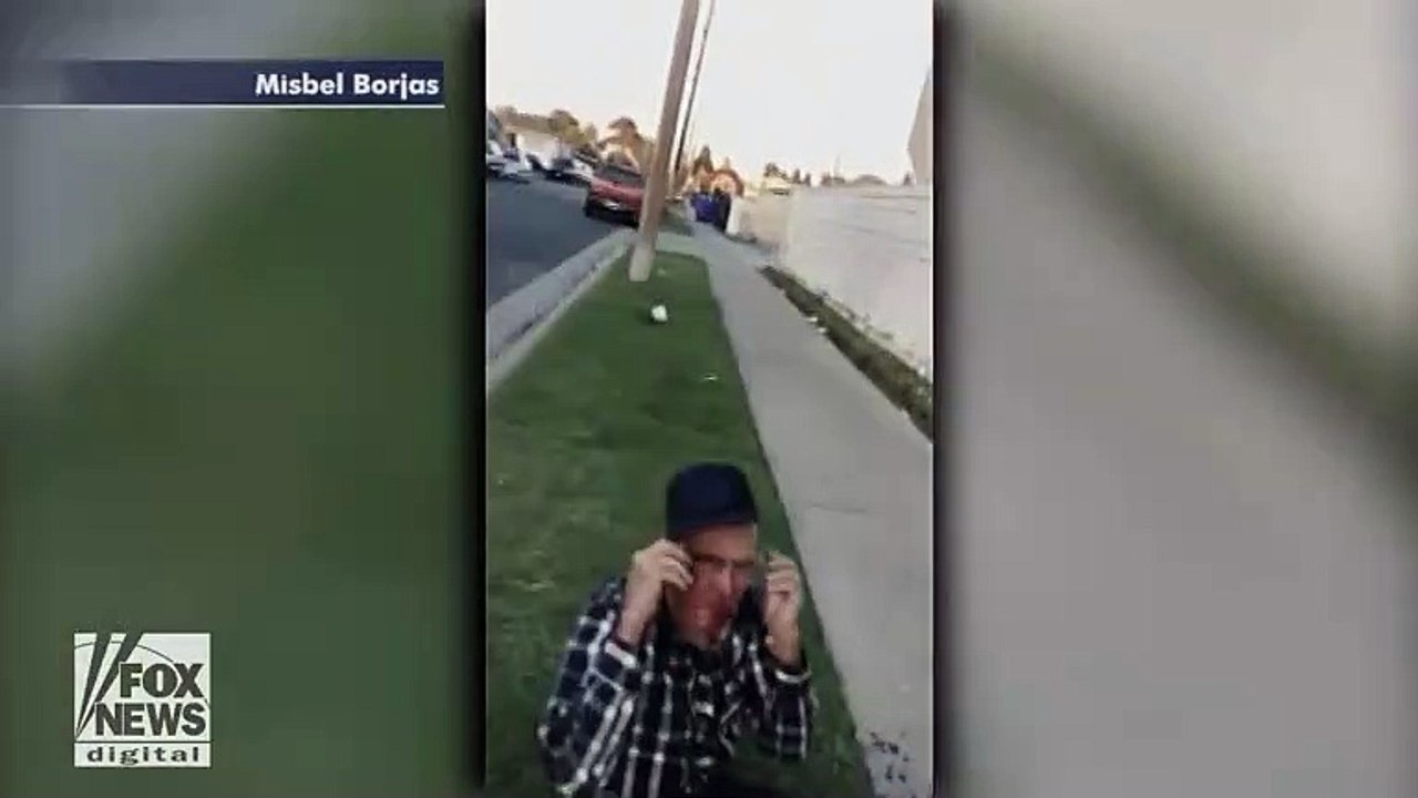 Woman Attacks Elderly Man With A Brick in California