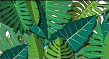 군위출장안마 {Ø1Ø*5628*Ø391}【카톡VIP0133】군위출장샵'예약'군위출장마사지 군위여대생출장 군위여고생출장 군위콜걸샵