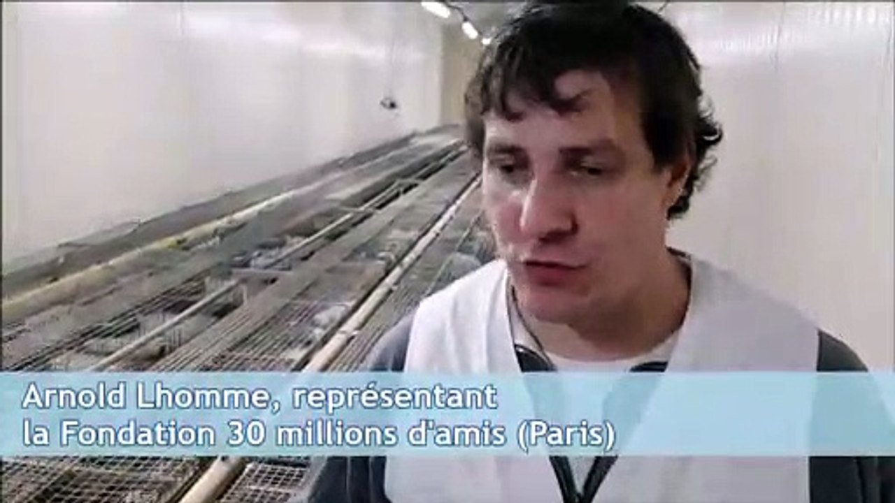 Des milliers de rongeurs à sauver