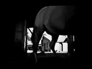 LANCER ( the unaired B & W pilot ) with Joe Don Baker, Anthory Caruso, Sean McClory, and Gordon Jump