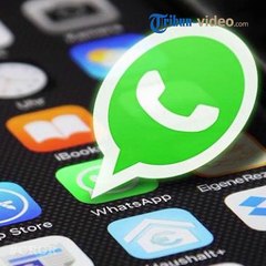 Cara Sembunyikan Status Story di WhatsApp dari Kontak Tertentu agar Tidak Dilihat