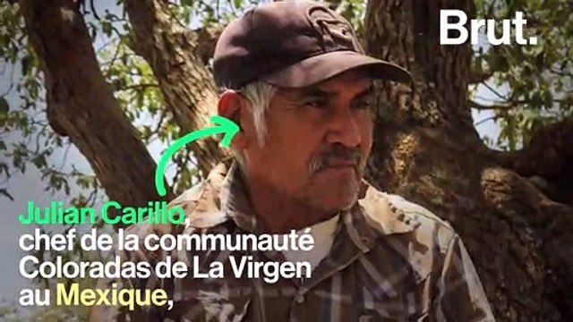 Ils ont été tués en 2018 pour avoir protégé notre planète