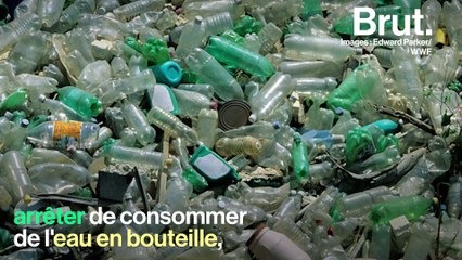 5 bonnes résolutions pour la planète