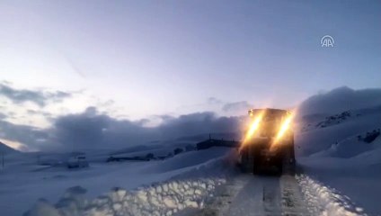 Sağlık ekipleri hamile kadın ve bebeği için seferber oldu - VAN