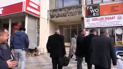 Kırıkkale'de sokak köpeklerinin zehirlendiği iddiası