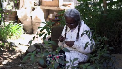 Arquitetura imperial em degradação