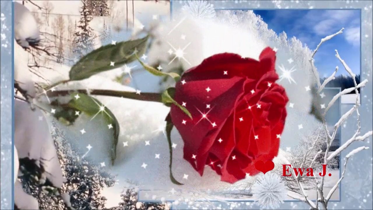 Szczęśliwego Nowego Roku