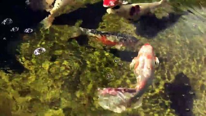 My BEST techniques for a successful Open House