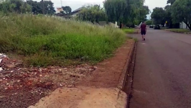 Escorpião é encontrado no Santo Onofre e moradores reclamam de mato
