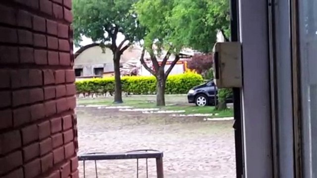Bombeiros combatem incêndio nas dependências de empresa