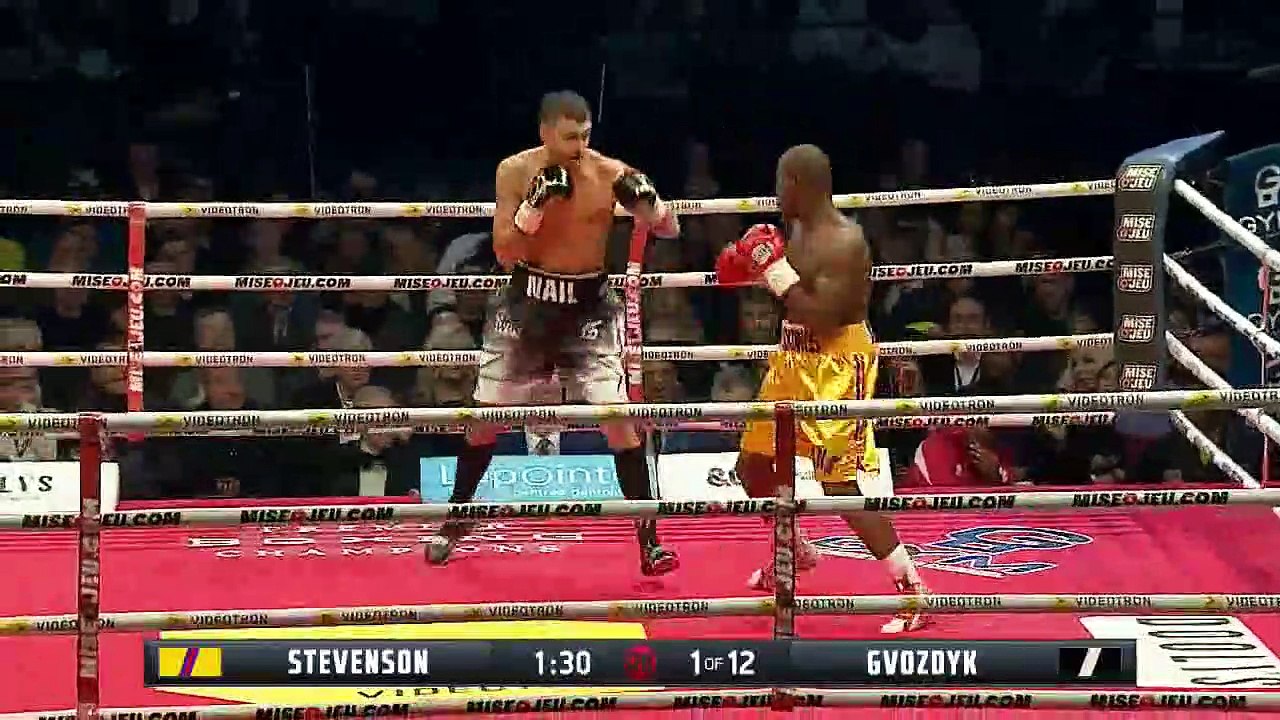 Stevenson vs. Gvozdyk  full fight video