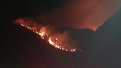 삼척 미로면 강풍 속 산불 10㏊ 불타...큰 불길 잡혀 / YTN