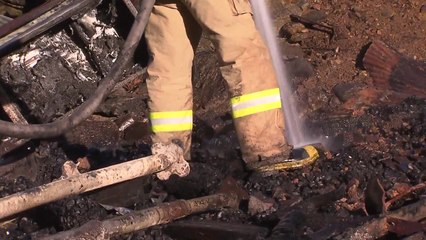 삼척 미로면 강풍 속 산불 10㏊ 피해...잔불 정리 마무리 / YTN