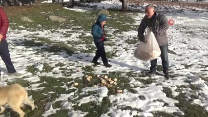 Lokantacılar ve Fırıncılardan Örnek Davranış