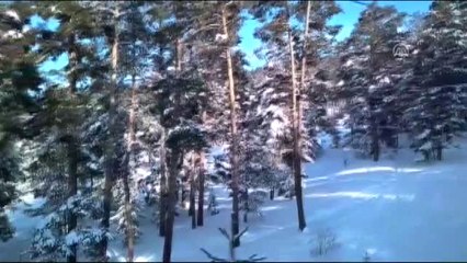 Cıbıltepe Kayak Merkezi'nde Çok Sayıda Kişi Mahsur Kaldı (1)