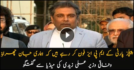PPP's MPAs are calling us to save their lives: Federal Minister Ali Zaidi