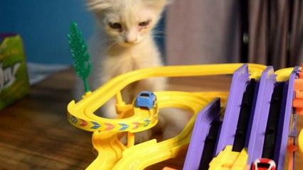 Cat play Spiral Track Set ! Track Super Spiral Set.