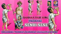 SENDI SESE BANJARA FOLK SONG QVIDEOS