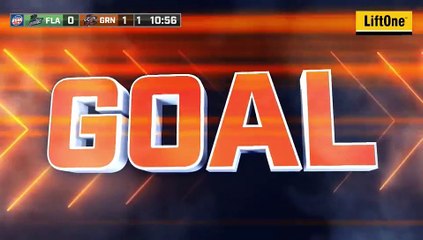 ECHL Florida Everblades 3 at Greenville Swamp Rabbits 2