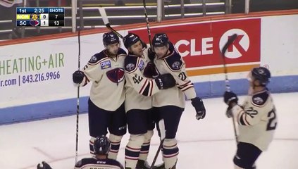 ECHL Norfolk Admirals 4 at South Carolina Stingrays 3