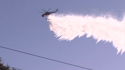 삼척 산불 13시간 만에 진화...주택 1채·산림 10ha 소실 / YTN